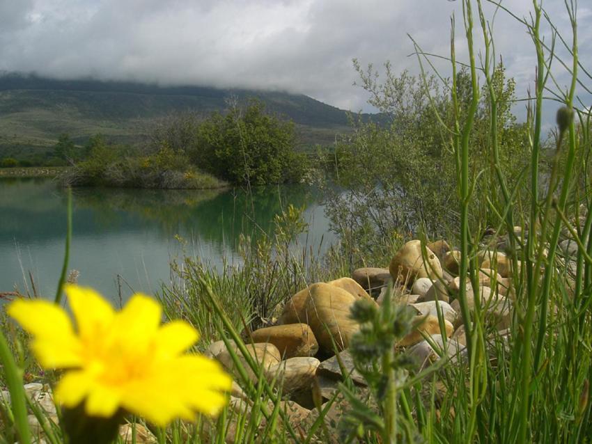 Al Viento, Alojamiento & Turismo Rural Pradena Del Rincon Luaran gambar