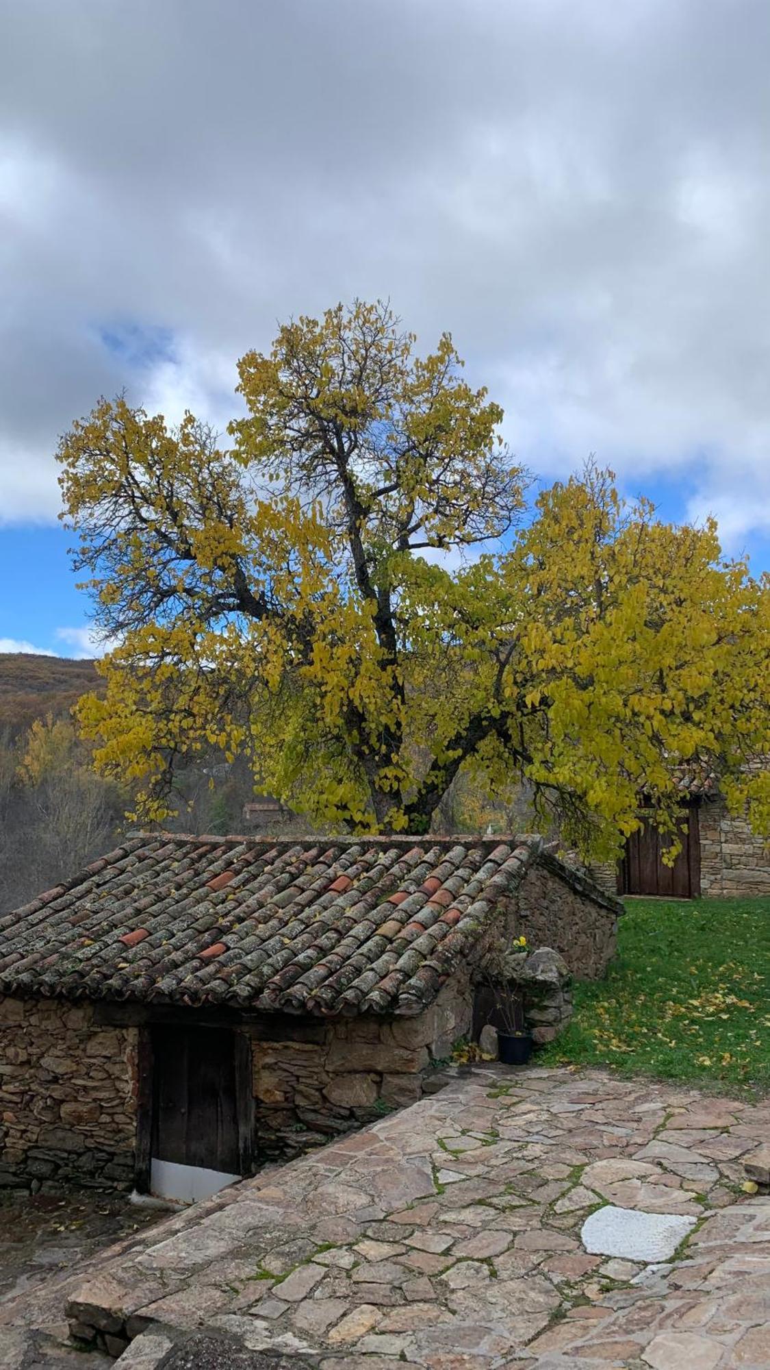 Al Viento, Alojamiento & Turismo Rural Pradena Del Rincon Luaran gambar