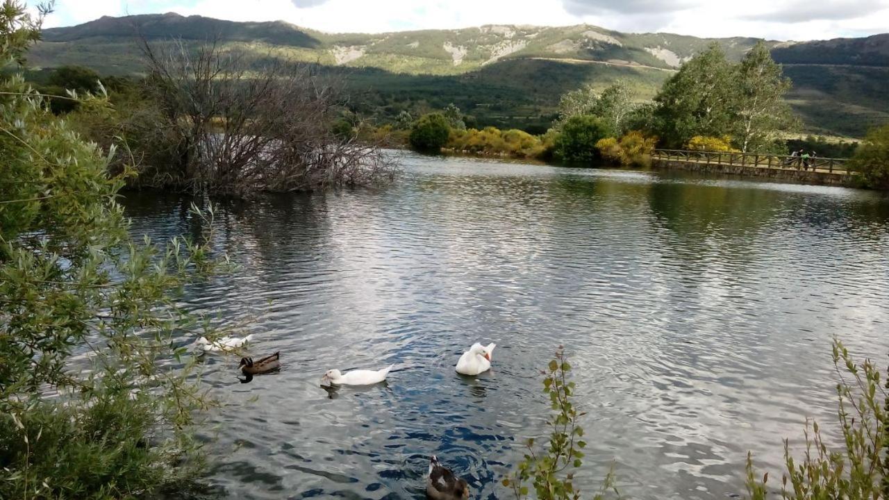 Al Viento, Alojamiento & Turismo Rural Pradena Del Rincon Luaran gambar