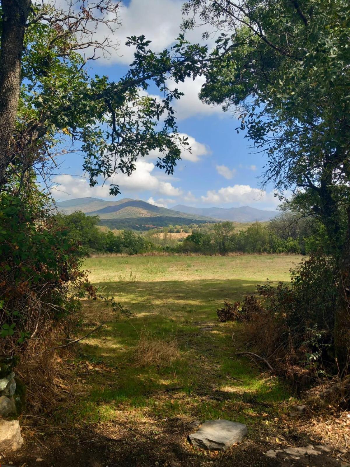 Al Viento, Alojamiento & Turismo Rural Pradena Del Rincon Luaran gambar