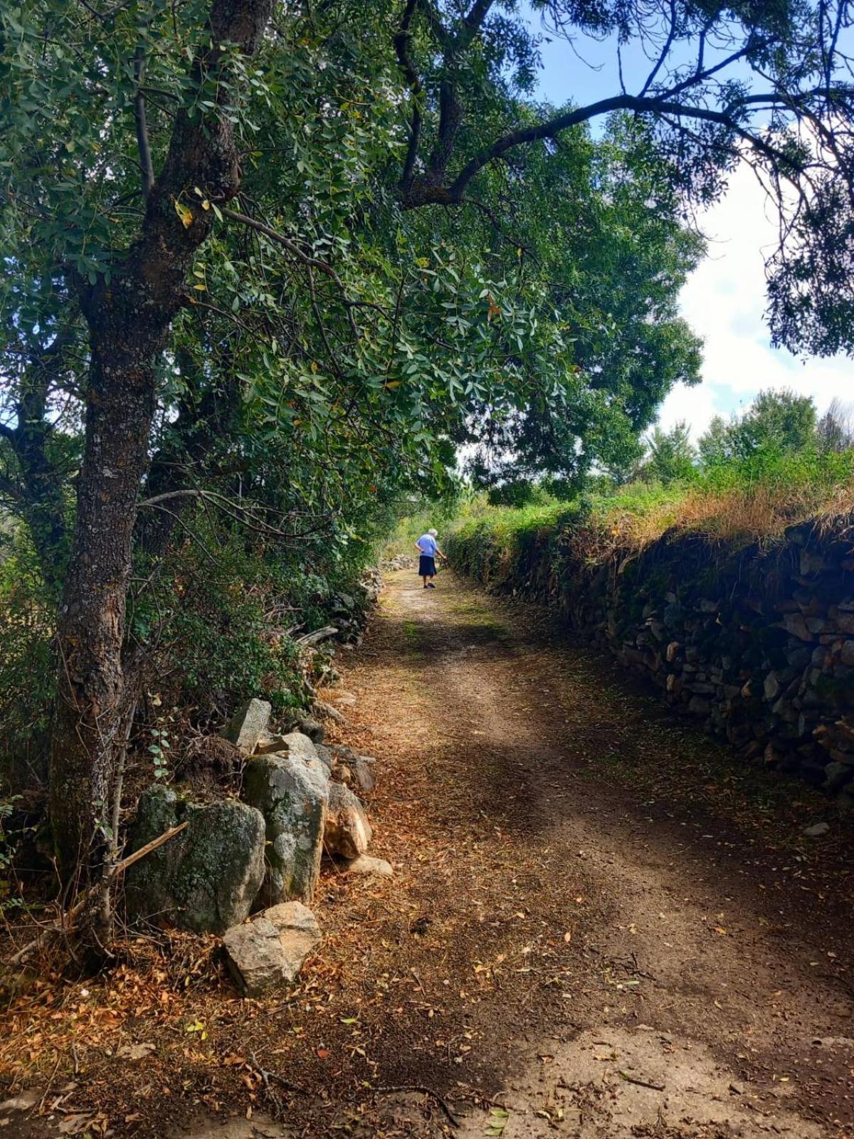 Al Viento, Alojamiento & Turismo Rural Pradena Del Rincon Luaran gambar