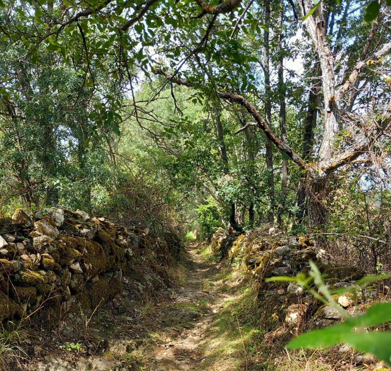 Al Viento, Alojamiento & Turismo Rural Pradena Del Rincon Luaran gambar