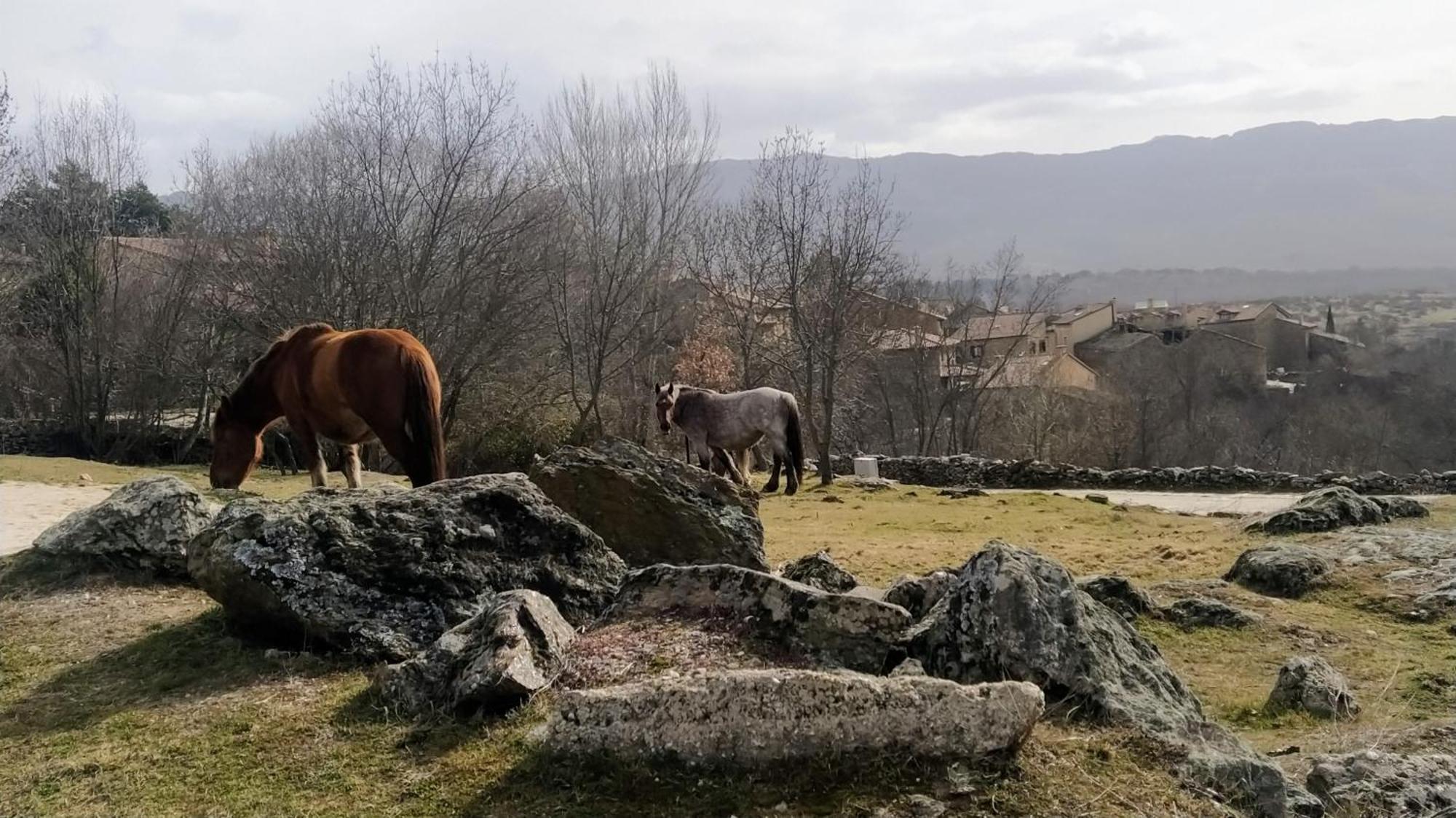 Al Viento, Alojamiento & Turismo Rural Pradena Del Rincon Luaran gambar