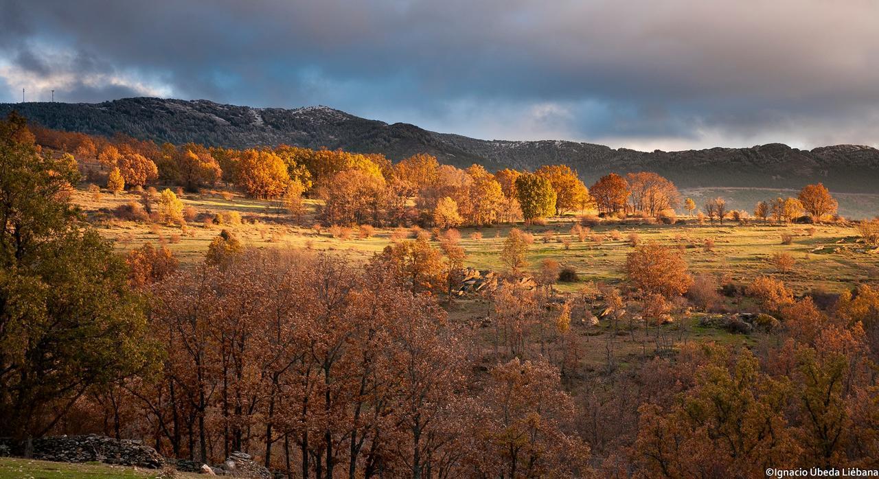 Al Viento, Alojamiento & Turismo Rural Pradena Del Rincon Luaran gambar